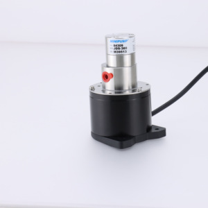 Pompe doseuse de précision pour liquides chimiques corrosifs, pompe à engrenages à entraînement magnétique micro - Product Image 1