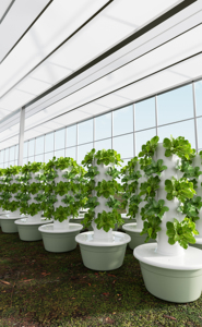Sistema de Jardín Vertical Aeropónico Comercial con Luces LED, Hidroponía para el Hogar, para Cultivo - Product Image 4