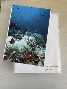 กระดาษภาพถ่ายเคลือบเงา C2s สองด้าน80g 90g 100G 180g 115/135/160/180/200/230/250/300gsm - Product Image 2