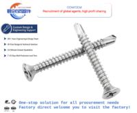 M4.2M4.8 Clou autoforant en acier inoxydable galvanisé à tête fraisée en queue d'aronde Vis taraudeuses plates en croix