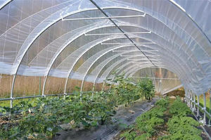 Serre de jardin populaire en polycarbonate avec structure en aluminium pour fleurs et semis - Product Image 5