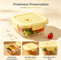 Boîte à lunch en verre borosilicate de 520 ml, résistante au micro-ondes, anti-fuite, pour conserver les aliments frais, récipient de stockage alimentaire pour le déjeuner, bol à soupe