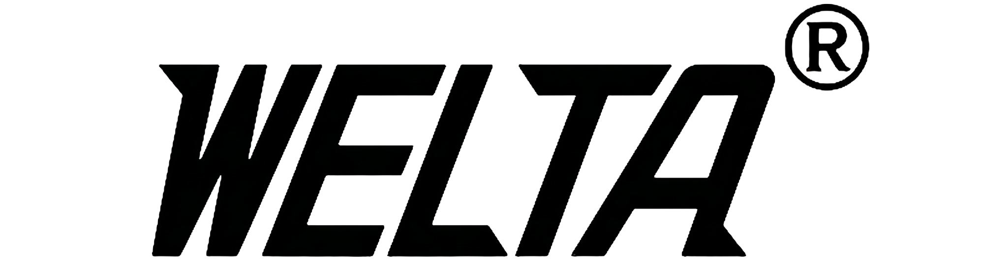 WELTA SAFETY INC logo