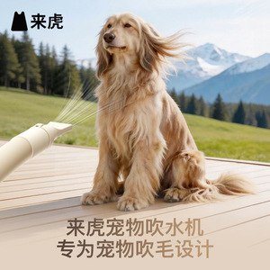 เครื่องเป่าขนสัตว์เลี้ยง Laihu พร้อมเครื่องดูดฝุ่น 44dB มอเตอร์ AC เงียบ พกพาสะดวก สำหรับแมวและสุนัข - Product Image 4