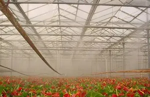 China Fabrik Wartungszeit 800-1000h 250 W tragbare Desinfektionsmaschine Gemüse Nebelsystem