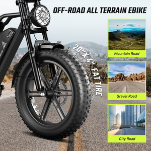 Vélo Électrique <span class=keywords><strong>Pliant</strong></span> Haute Puissance 750W en Stock (Entrepôts UK/AU) - Vélo <span class=keywords><strong>Pliant</strong></span> Électrique <span class=keywords><strong>Fatbike</strong></span> R002 PLUS - Offre Spéciale - Product Image 5