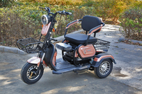 Adulte trois roues obstacles électriques scooters motos scooters