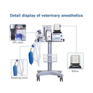 EUR PET Aparelho de Ventilação Médica Veterinária mais vendido Instrumentos de Anestesia Máquina de Anestesia - Product Image 2