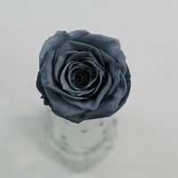 Vente d'usine : Roses éternelles au toucher réel, 5-6 cm, fleurs préservées en boîtes pour la Fête des Mères, la remise des diplômes et Noël