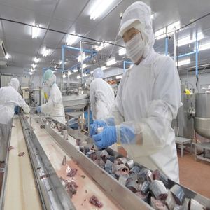 Bon prix Ligne de production d'huîtres de crevettes de poisson de <span class=keywords><strong>mer</strong></span> en conserve Sardine Machine de mise en conserve de transformation de maquereau - Product Image 4