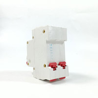 Disjoncteur miniature 2P 63A en gros, courbe C, protection contre les surcharges et les courts-circuits