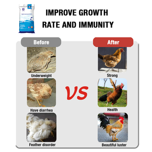 Alimento para Pollos HNMUYUE, Premezcla para Pollos en Etapa Inicial al 5%, Aminoácidos, Enzimas, Vitaminas, Minerales, Alimento para Animales de 0 a 3 Semanas - Product Image 6