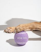 Hunde-Tennisball Umweltfreundliches Langlebiges Haustier-Spielzeug OEM Individuelles Logo Gummi Filz Quietschend Kau-Training Apportieren Sport Unterhaltung Maßanfertigung