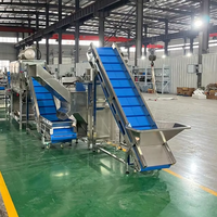 Máquina Automática Industrial de procesamiento de polvo de ajo de 400 kg/h, línea de producción de múltiples aplicaciones para cortar frutas y verduras