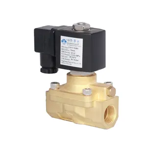 Yongchuang YCH11 12v dc 220 volt yüksek basınçlı paslanmaz çelik pirinç solenoid vanalar kompresör için