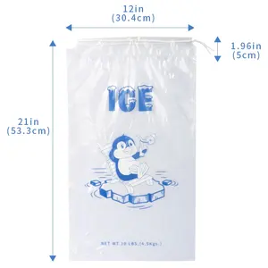 10磅塑料袋自封立方体可生物降解小袋拉链冰袋冰