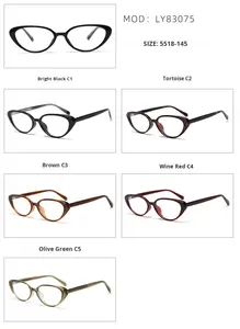 WY 83075韓国のレトロなフレームTR90 CP腕の猫の目の形をした女性のメガネ芸術的な気質のプレーンフレーム - Product Image 5