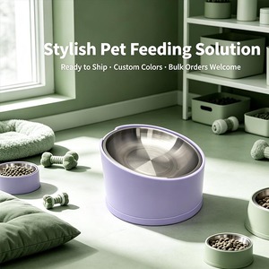 Gamelle inclinée en acier inoxydable pour animaux de compagnie, bol d'alimentation en mélamine pour chiens et chats, gamelle personnalisable pour nourriture et eau - Product Image 1