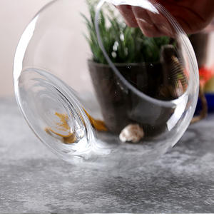 Pot de fleurs en verre pour <span class=keywords><strong>Aquarium</strong></span>, pièces, <span class=keywords><strong>Aquarium</strong></span> pour poissons - Product Image 4