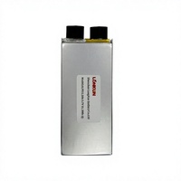 Batterie LiPo à haute densité énergétique LongKun 3.7V 8500mAh, cellule en pochette, polymère lithium, pour drone UAV, robot, OEM/ODM