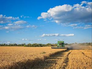 Máquina cosechadora de granja GN60 de alta capacidad con <span class=keywords><strong>plataforma</strong></span> de corte de conexión rápida para campos de trigo en Ucrania - Product Image 5