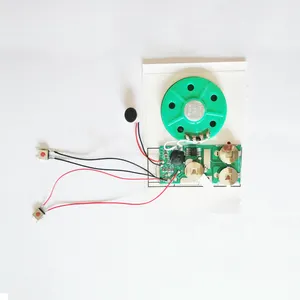Chip de voz pré-gravado com botão de pressão, chip de som gravável de 60 segundos, mais vendido