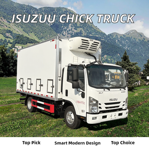 Camion frigorifique Isuzu 4x2 pour le transport de poussins vivants, véhicule de livraison de poulets d'un jour, <span class=keywords><strong>camions</strong></span> de transport de poussins - Product Image 1