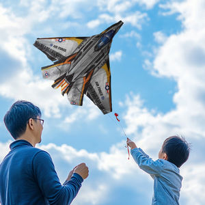 Vente en gros de haute qualité Avion de chasse Cerf-volant pour enfants et adultes Facile à voler Voyage à la plage Cerf-volant pour débutants - Product Image 5