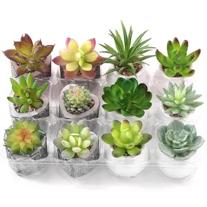 Vendita all'ingrosso Mini piante succulente in vaso Rare artificiali Set piante grasse per la decorazione