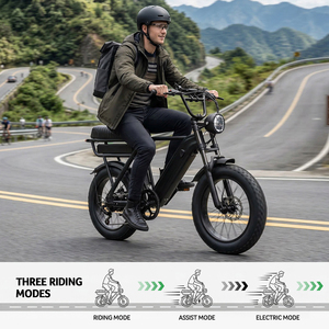 Vélo <span class=keywords><strong>électrique</strong></span> hybride Y20 Pro 48V avec pneus tout-terrain (fat tire) 250W, pour route et ville, VTT, entrepôt UE - Product Image 6