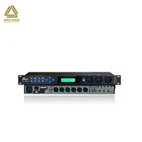 Processeur audio numérique actif professionnel Seer RV-3000 pour KTV, sortie stéréo/mono, construction métallique, design portable, origine CN