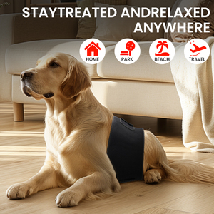 Miếng Bọc Ánh Sáng Hồng Ngoại Sâu Có Thể Đeo Được 660nm LED ODM/OEM Thiết Bị Giảm Đau Đai Trị Liệu Ánh Sáng Đỏ - Product Image 4