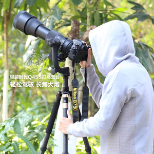 Support d'objectif téléobjectif pour photographie d'oiseaux avec perche panoramique et tête de trépied à cantilever pour observation des oiseaux - Product Image 4