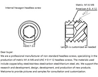 Optical Instrument Micro Electronic Product Special Hexagon Headless ScrewM1.6-0.35P/M2-0.4P