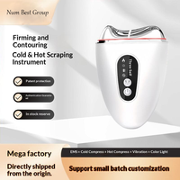 Masseur facial portable alimenté par USB, lifting du visage, 85 ondes de contour, 3 vitesses de vibration, lumière multi-LED pour une meilleure absorption du sérum