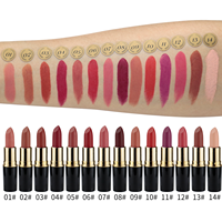 Rouge à lèvres mat velouté, imperméable, hautement pigmenté, longue tenue, naturel, lisse, bio, végan, vente en gros, marque privée, 14 couleurs