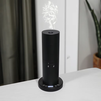 Nouvelle arrivée diffuseur d'aromathérapie d'huile essentielle sans eau de parfum de luxe commercial diffuseur d'arôme électrique portable de bureau