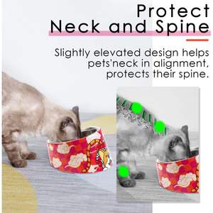 Comedero para Perros y Gatos con Diseño Innovador Antiderrames, Inclinado 15 Grados, Antideslizante, Forma Redondeada, Capacidad de 0.5 Tazas - Product Image 5