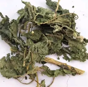 KAIYANGE Natural dried Stinging fragment Nettle Leaves Urtica spec Herbal Tea Growth Wholesale Direct Supply Best Botanical Herb