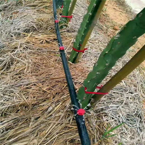 Water Supply Plastic Stubend 315mm Pn6 Pn10 Pn16 Pn20 Pn25 Black Hdpe <strong>Pipe</strong> 120mm <strong>150mm</strong> Fitting Joint 50mm <strong>Pipe</strong> - Product Image 2