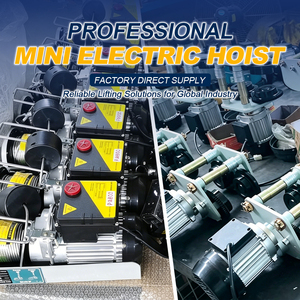 <span class=keywords><strong>Mini</strong></span> Grúa Eléctrica Toyo Modelo Económico, Motor de Elevación de 50 Kg Pa250, <span class=keywords><strong>Mini</strong></span> Cabrestante Eléctrico con Cable de Acero - Product Image 4