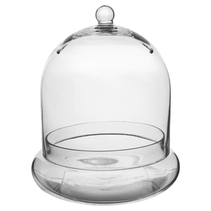 Custom Made Clear Hand-blown Glass Cloche Terrarium with Holes for Indoor Gardening