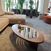 Table basse moderne pour petit appartement, en bois massif original, luxe léger, haut de gamme, forme ovale créative, pour salon et salle à manger