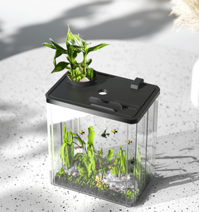투명 ABS & 유리 베타 어항 소형 어항 10L 셀프 클리닝 데스크탑 & 야외용 - Product Image 4