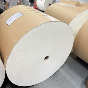 Rouleau de papier enduit de PE hautement imperméable, grammage personnalisé pour gobelets en papier et bols en papier - Product Image 2