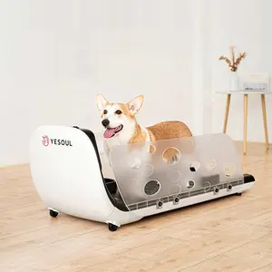 JeeKoudy Dog Treadmill, Pet Fitness Equipment Pet Running Machine for  Running for Dogs, Helping Pets to Exercise Running Spinning Toy Movement  Wheel