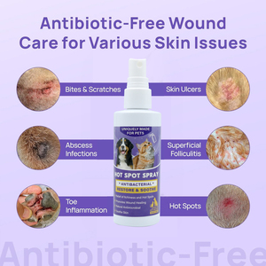 Natuurlijke milieuvriendelijke plastic vierkante huisdier-hotspot spray, veilig voor binnen en buiten, zacht en kalmerend, eerste hulp behandeling voor katten en honden - Product Image 4