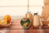 Diffuseur d'arômes MINI, machine à diffusion d'arômes en aluminium, électrique, intelligente, aromathérapie rechargeable pour voiture et maison avec 1 an de garantie