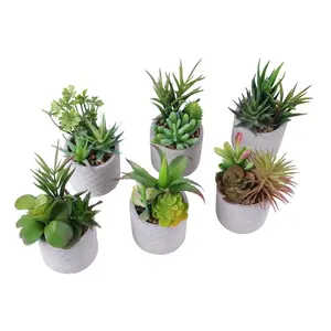 Novo design de vaso de plantas tropicais artificiais real toque artificial plantas suculentas para o plantador de suspensão