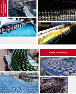 Maille de convoyeur à chaîne supérieure en plastique résistant à la corrosion avec rails de contrôle série 1000 - Product Image 6